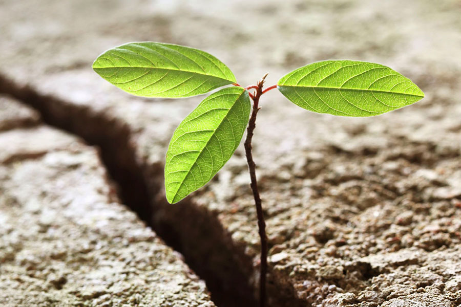 Qui&eacute;nes Somos